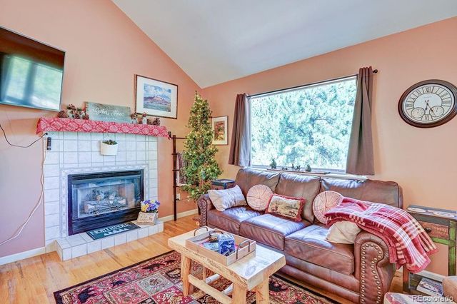 30433 National Forest Drive, Buena Vista, CO 81211