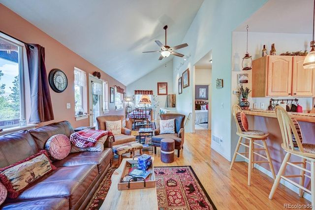 30433 National Forest Drive, Buena Vista, CO 81211