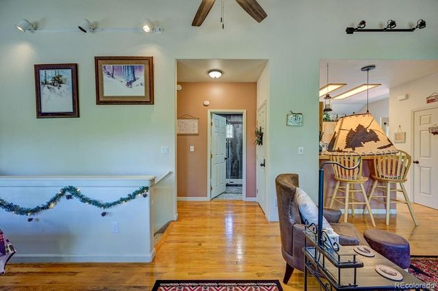 30433 National Forest Drive, Buena Vista, CO 81211