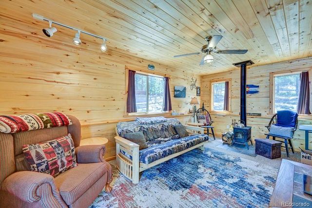 30433 National Forest Drive, Buena Vista, CO 81211