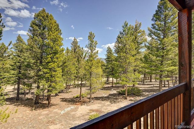 30433 National Forest Drive, Buena Vista, CO 81211