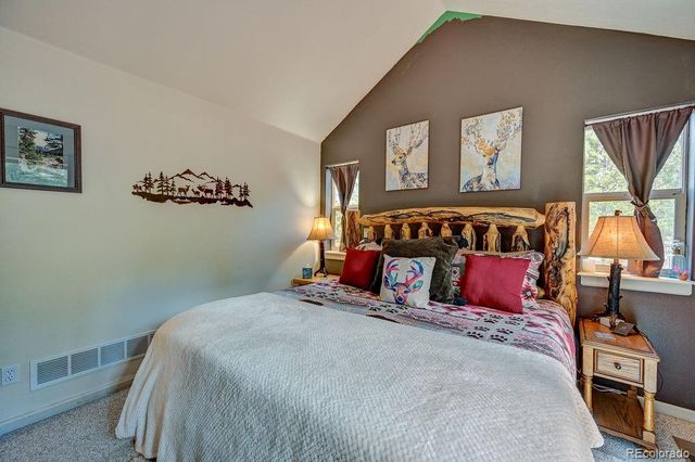 30433 National Forest Drive, Buena Vista, CO 81211