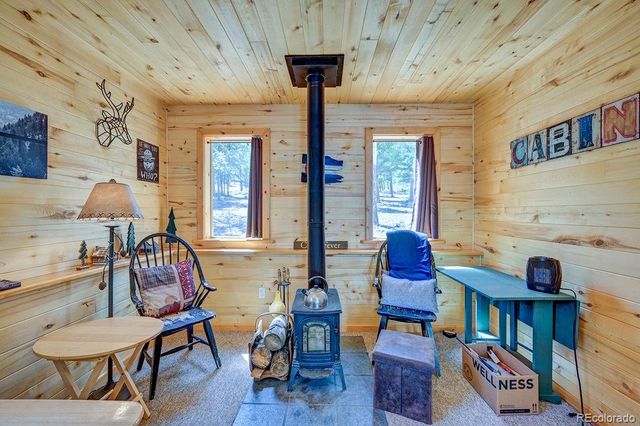 30433 National Forest Drive, Buena Vista, CO 81211