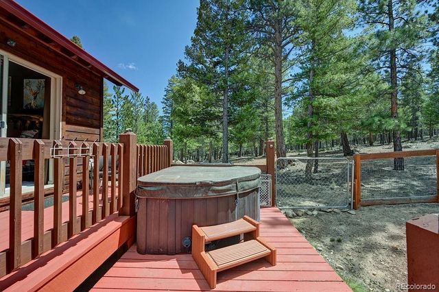 30433 National Forest Drive, Buena Vista, CO 81211