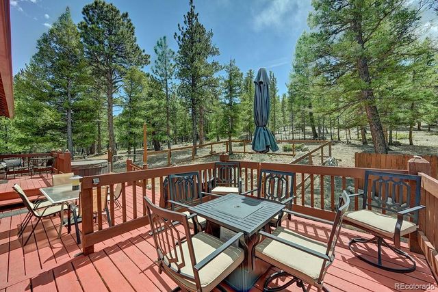 30433 National Forest Drive, Buena Vista, CO 81211