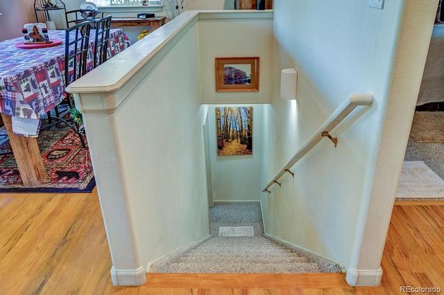 30433 National Forest Drive, Buena Vista, CO 81211