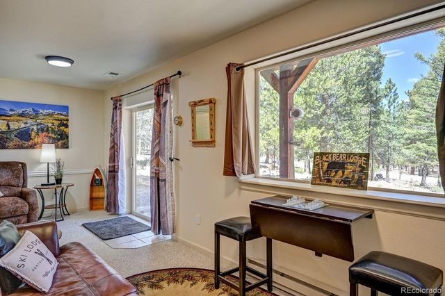 30433 National Forest Drive, Buena Vista, CO 81211