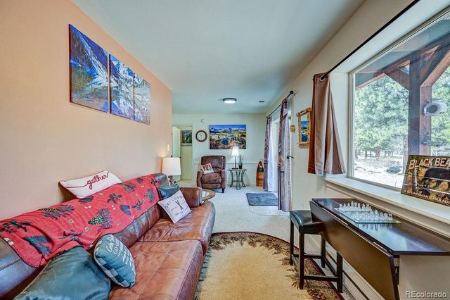 30433 National Forest Drive, Buena Vista, CO 81211