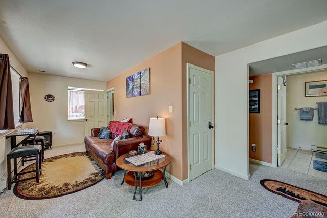 30433 National Forest Drive, Buena Vista, CO 81211