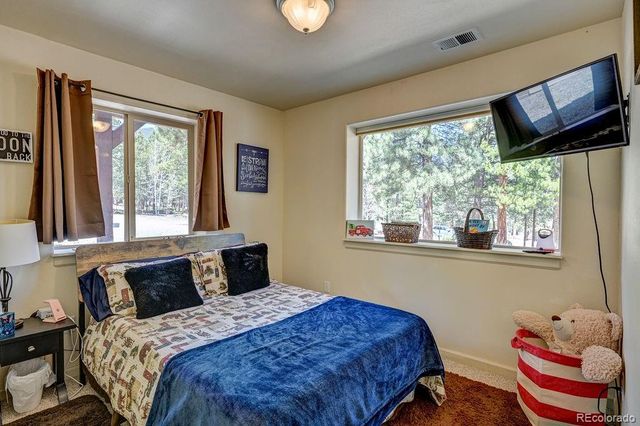 30433 National Forest Drive, Buena Vista, CO 81211