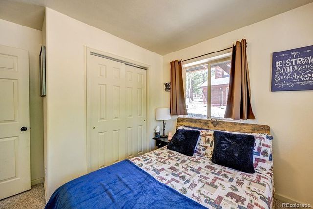 30433 National Forest Drive, Buena Vista, CO 81211