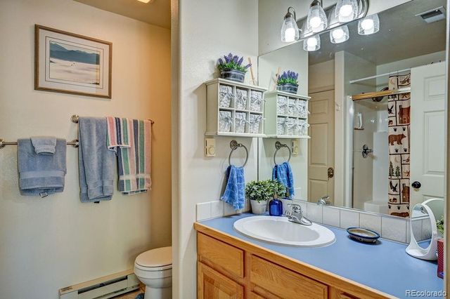 30433 National Forest Drive, Buena Vista, CO 81211