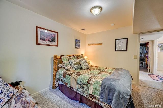 30433 National Forest Drive, Buena Vista, CO 81211