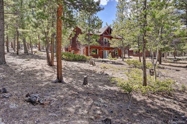 30433 National Forest Drive, Buena Vista, CO 81211