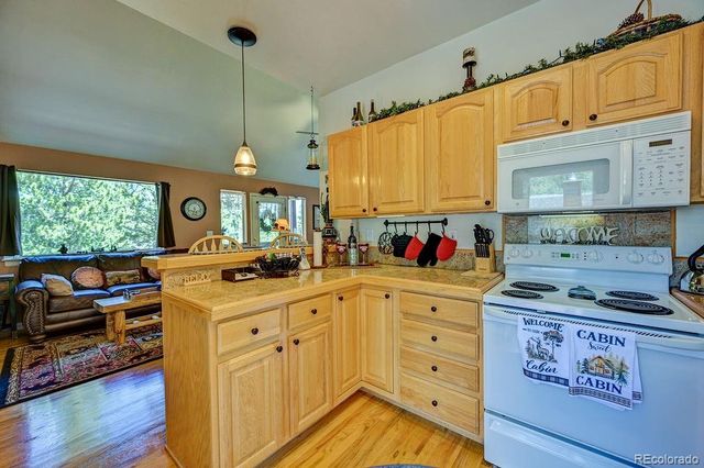 30433 National Forest Drive, Buena Vista, CO 81211