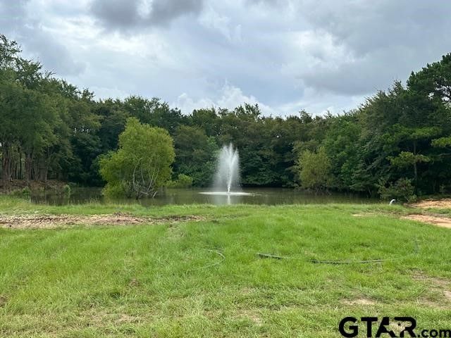Lot 43 Oak River, Frankston, TX 75763