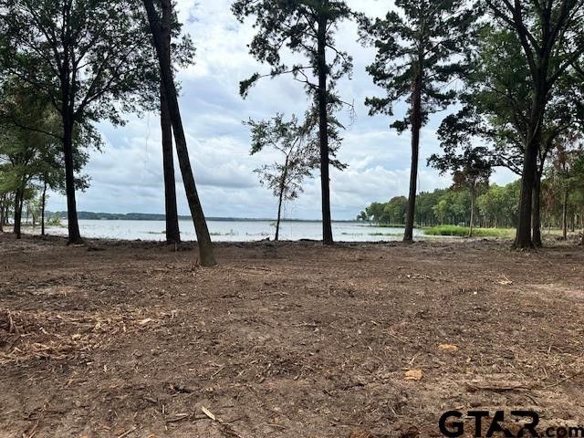 Lot 43 Oak River, Frankston, TX 75763