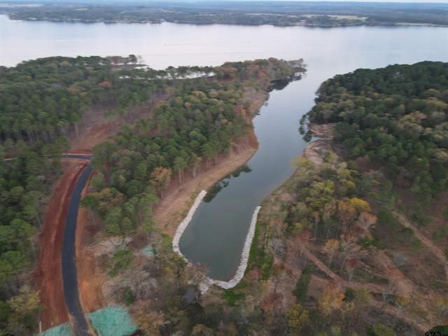 Lot 43 Oak River, Frankston, TX 75763