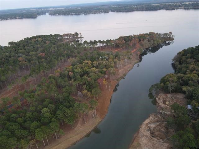Lot 43 Oak River, Frankston, TX 75763
