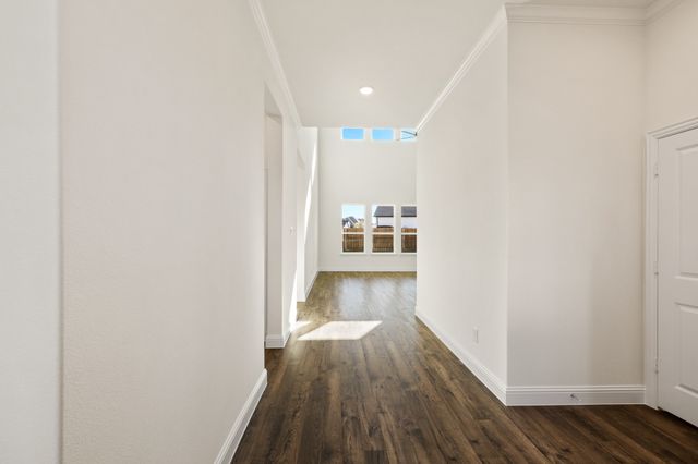 203 Yaupon Holly Street, Lavon, TX 75166