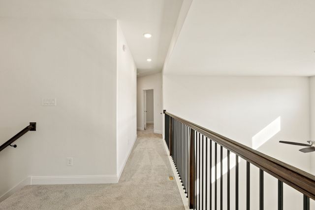 203 Yaupon Holly Street, Lavon, TX 75166