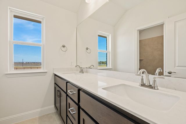 203 Yaupon Holly Street, Lavon, TX 75166