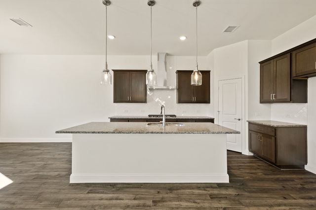 203 Yaupon Holly Street, Lavon, TX 75166