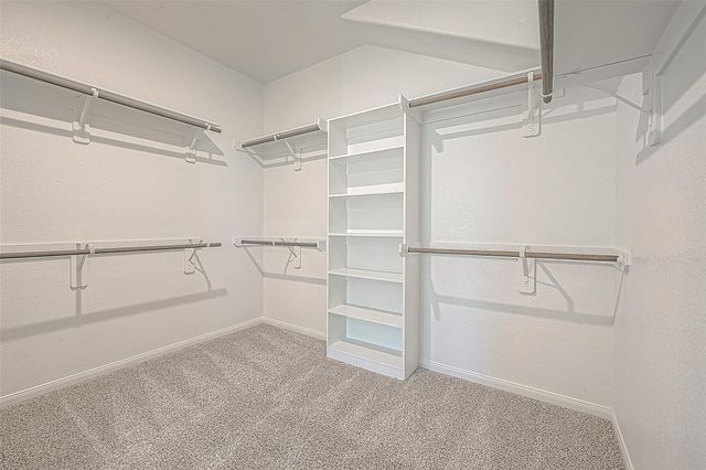 331 Harbor Forest Lane, Montgomery, TX 77316