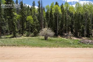 546 Spring Valley Lane, Florissant, CO 80816