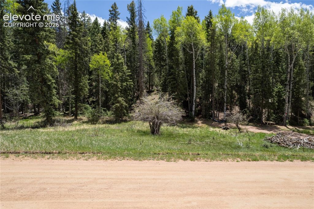 546 Spring Valley Lane, Florissant, CO 80816 — exterior