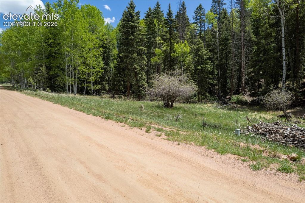 546 Spring Valley Lane, Florissant, CO 80816 — photo 2