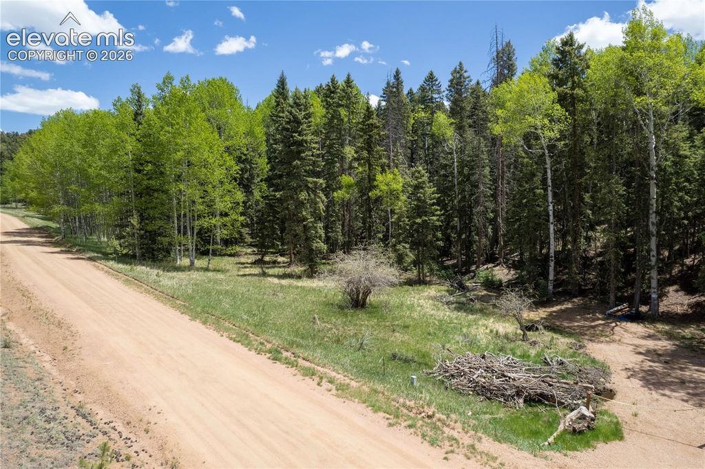 546 Spring Valley Lane, Florissant, CO 80816 — photo 3