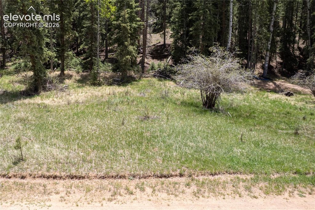 546 Spring Valley Lane, Florissant, CO 80816 — photo 4
