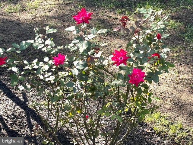 45 EASTMONT LN, Sicklerville, NJ 08081