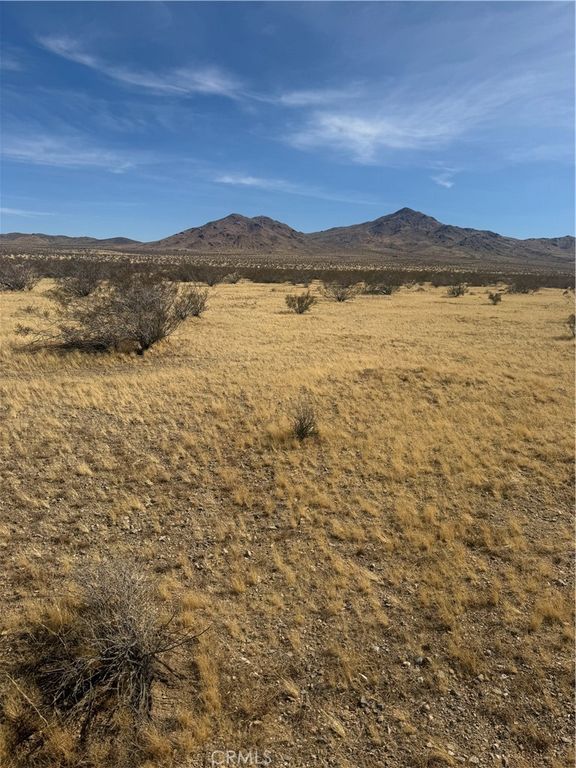 0 Chiffon Street, Oro Grande, CA 92368