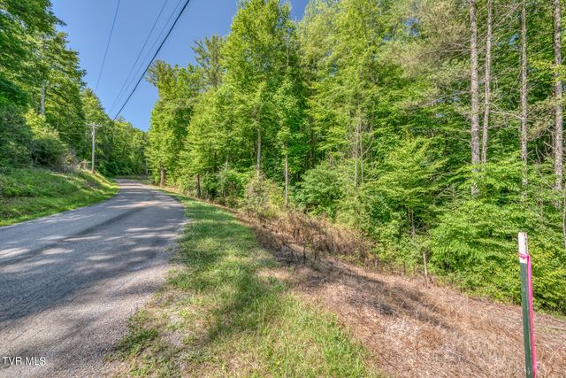 Tbd Sink Valley Road, Butler, TN 37640