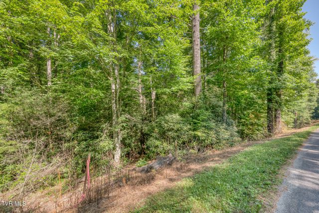 Tbd Sink Valley Road, Butler, TN 37640