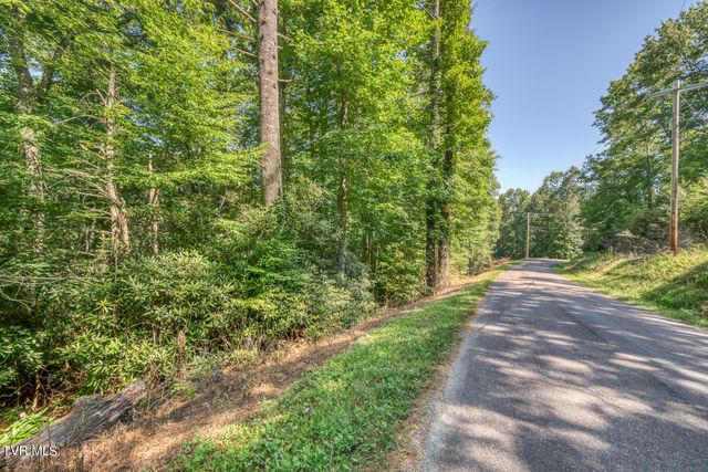 Tbd Sink Valley Road, Butler, TN 37640