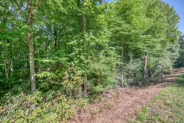 Tbd Sink Valley Road, Butler, TN 37640