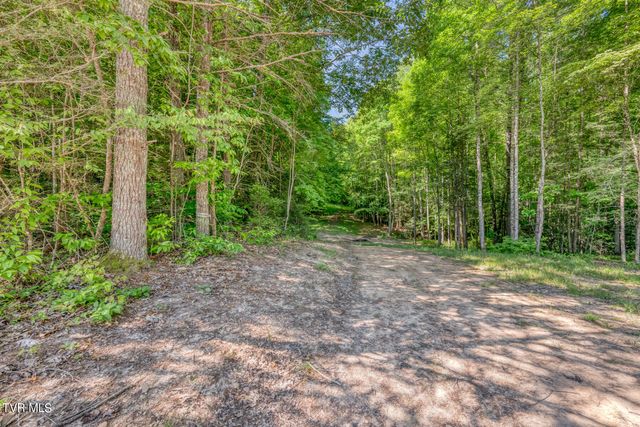 Tbd Sink Valley Road, Butler, TN 37640
