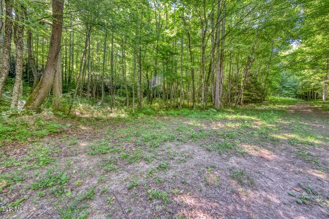 Tbd Sink Valley Road, Butler, TN 37640