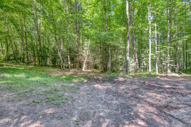 Tbd Sink Valley Road, Butler, TN 37640