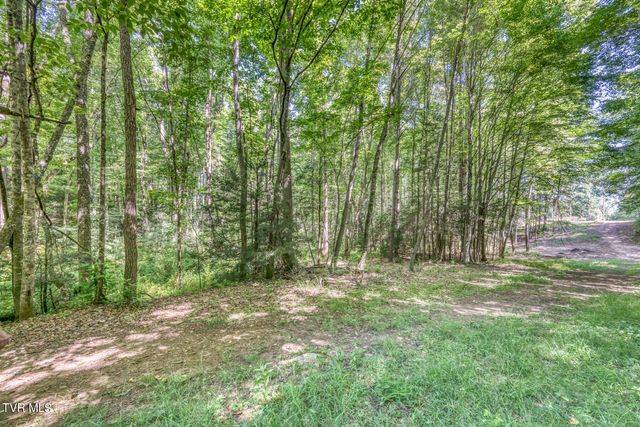 Tbd Sink Valley Road, Butler, TN 37640