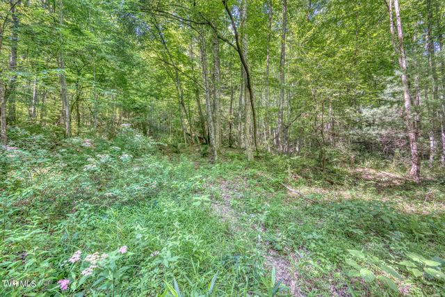 Tbd Sink Valley Road, Butler, TN 37640