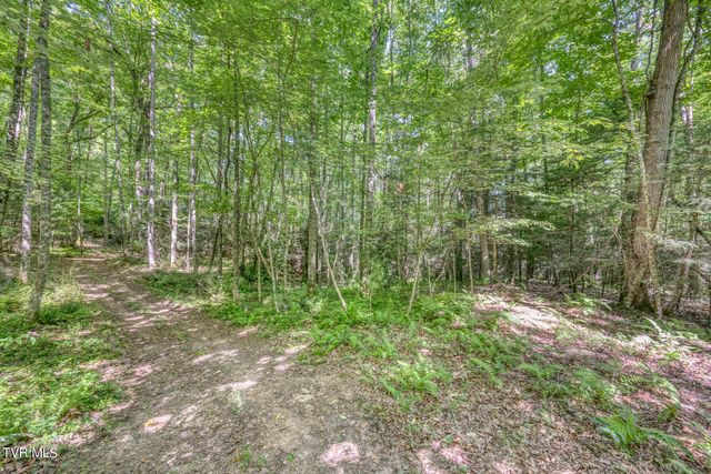 Tbd Sink Valley Road, Butler, TN 37640