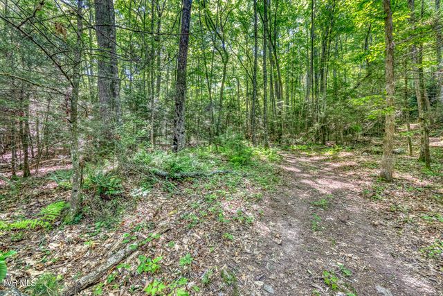 Tbd Sink Valley Road, Butler, TN 37640