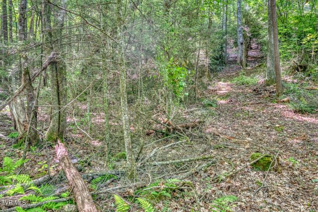 Tbd Sink Valley Road, Butler, TN 37640