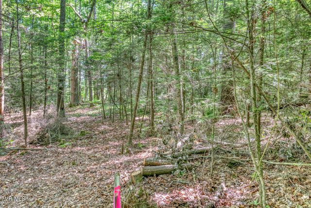 Tbd Sink Valley Road, Butler, TN 37640