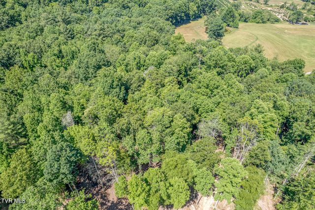 Tbd Sink Valley Road, Butler, TN 37640