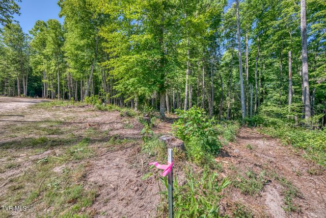 Tbd Sink Valley Road, Butler, TN 37640